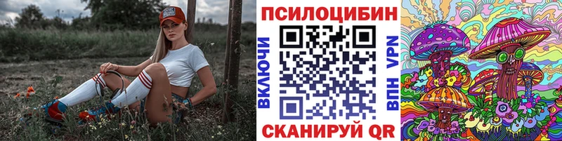 дарнет шоп  Кола  Псилоцибиновые грибы прущие грибы 